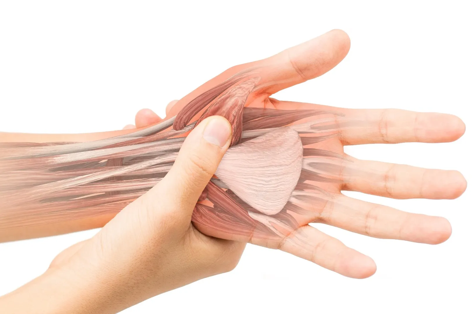 Tendinitis de los músculos flexores del cuello